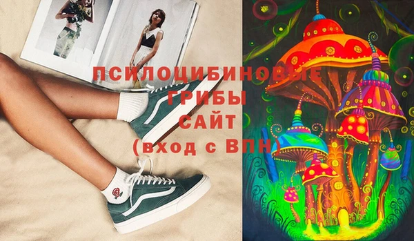 дурь Краснослободск
