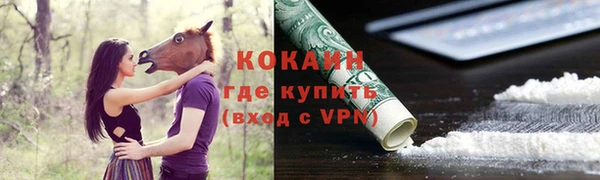 дурь Краснослободск
