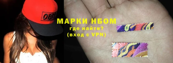 дурь Краснослободск