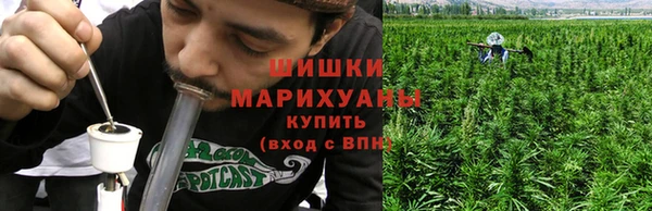 дурь Краснослободск